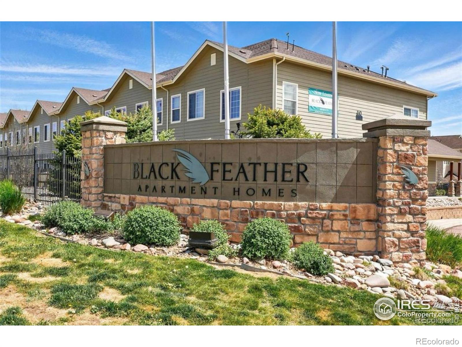 457  Black Feather Loop, castle rock  House Search MLS Picture