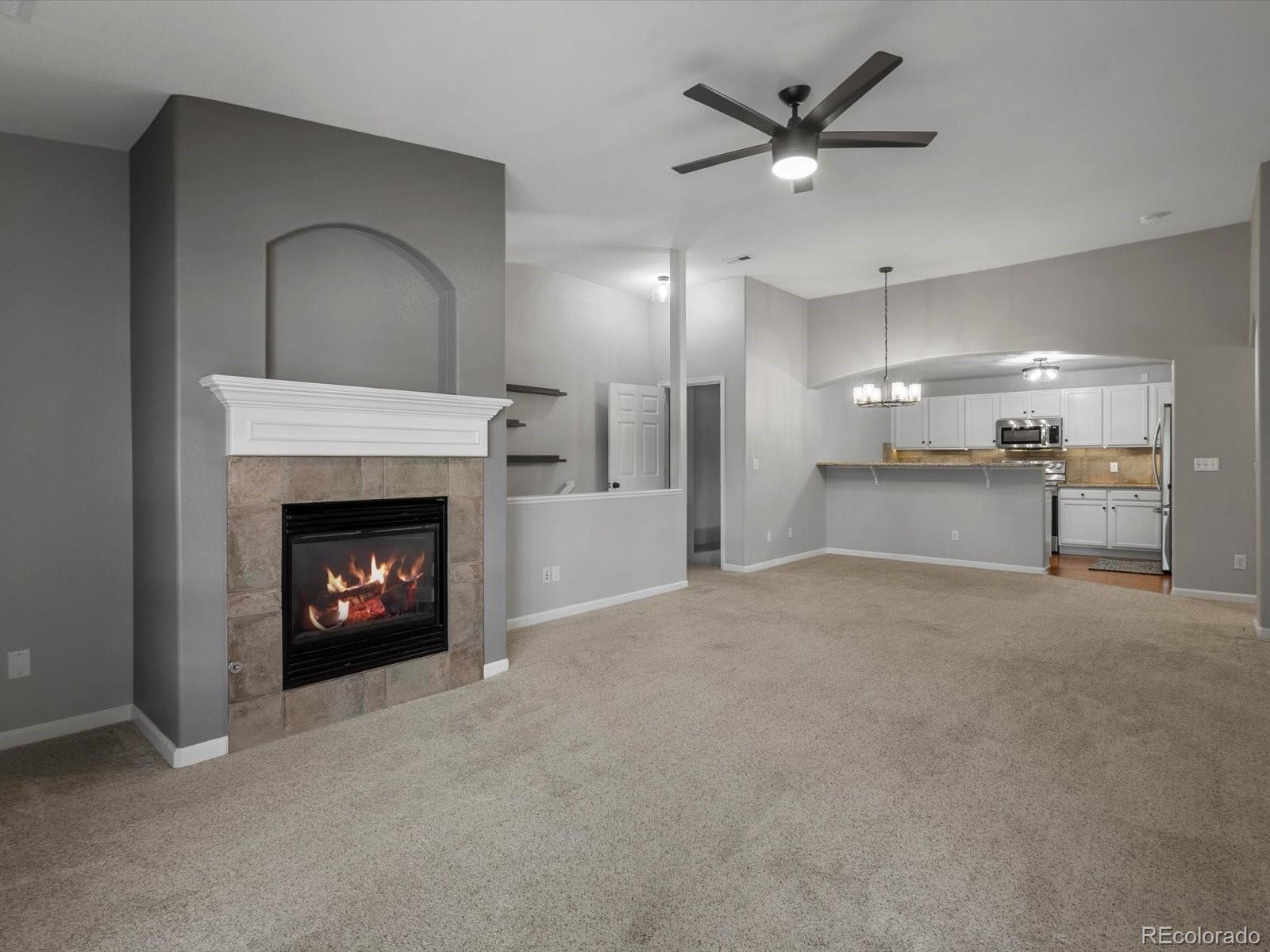 7131 S Wenatchee Way, aurora  House Search MLS Picture