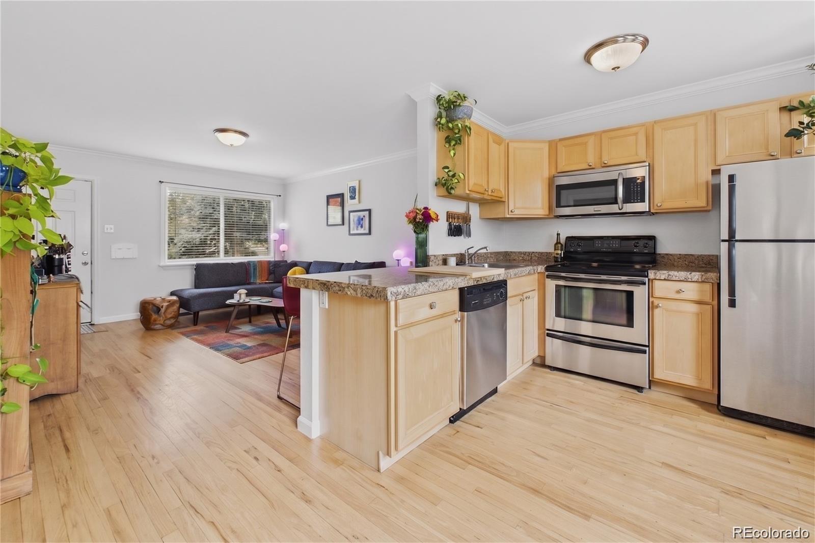1244  Albion Street, denver&nbsp; House Search MLS Picture