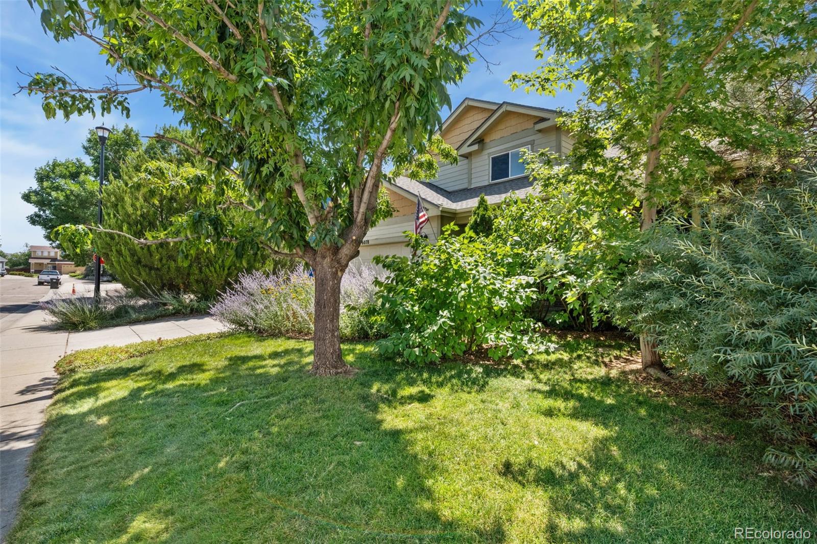6078  Ulysses Avenue, longmont&nbsp; House Search MLS Picture