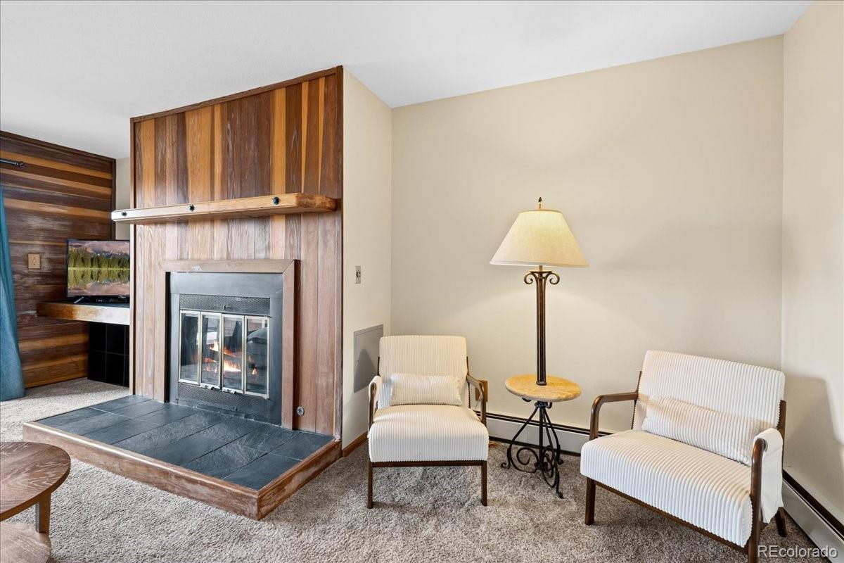 91300  Ryan Gulch Road, silverthorne&nbsp; House Search MLS Picture