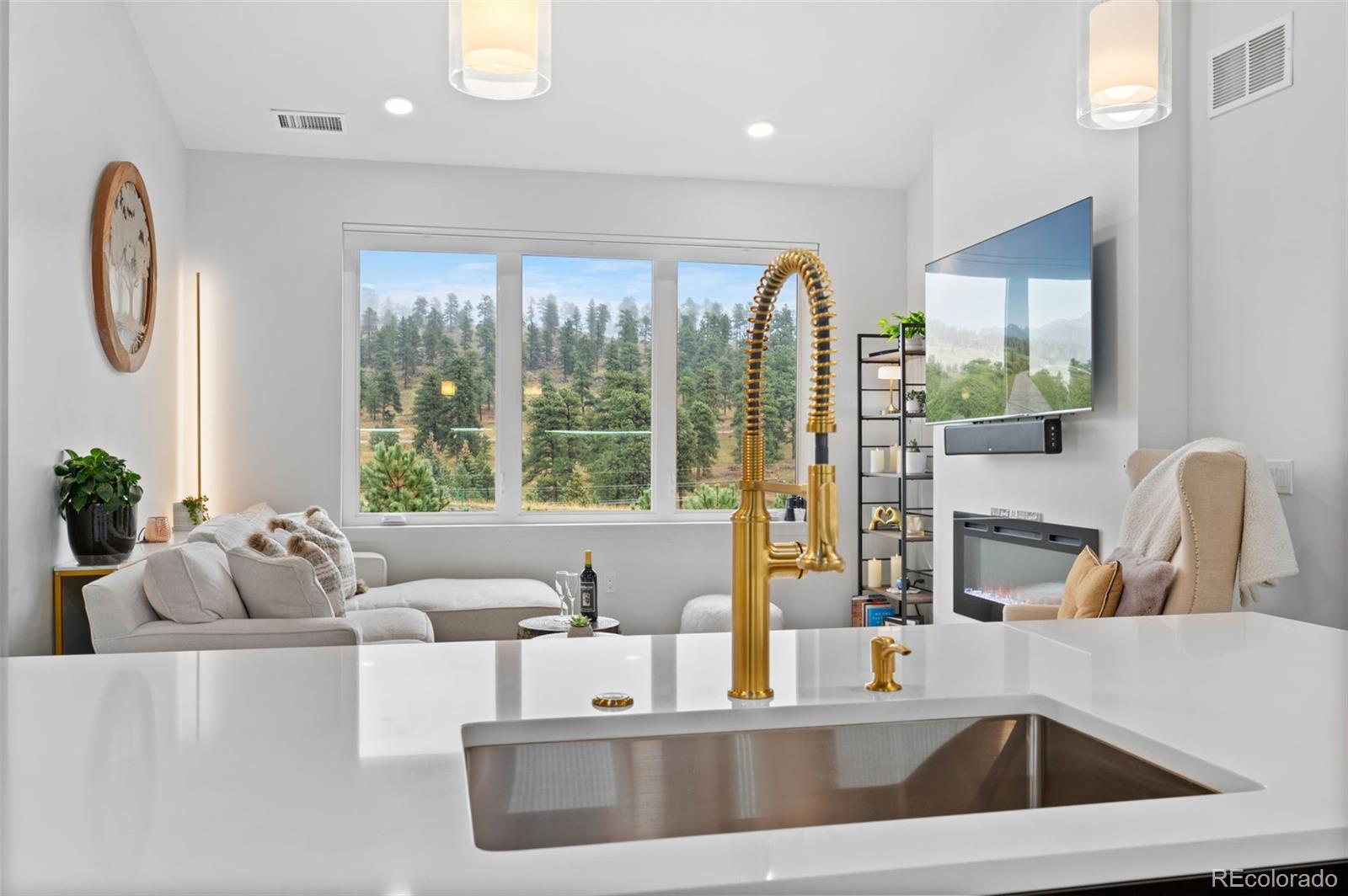 31161  Black Eagle Drive, evergreen&nbsp; House Search MLS Picture