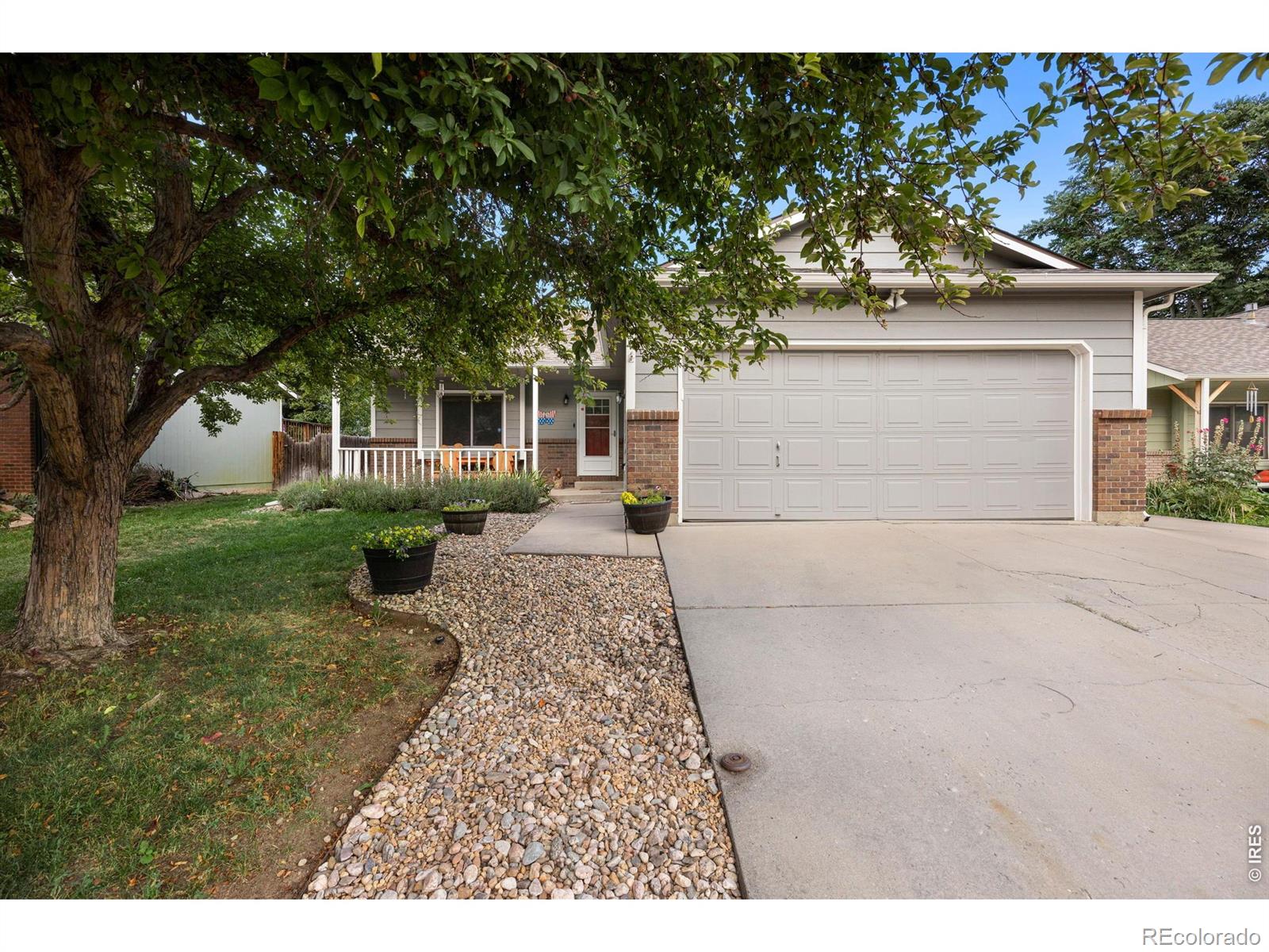 4224  Table Mountain Place, fort collins&nbsp; House Search MLS Picture