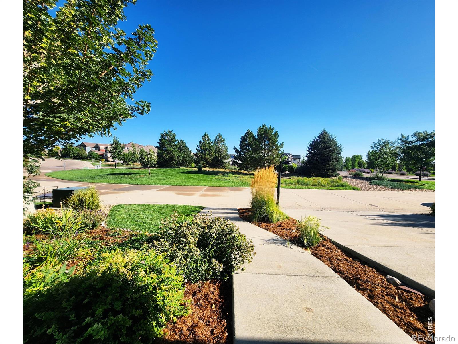 4440  Long Pine Lake Drive, loveland&nbsp; House Search MLS Picture