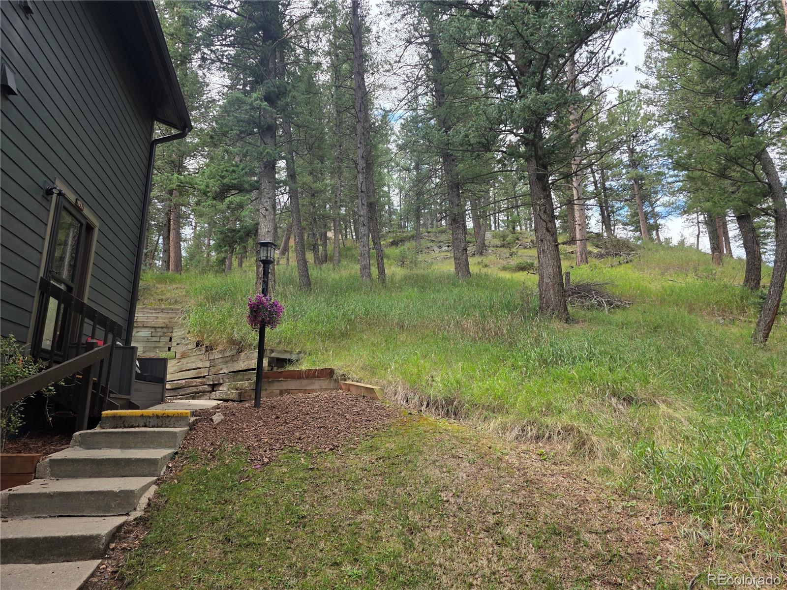 4897  Silver Spruce Lane, evergreen&nbsp; House Search MLS Picture