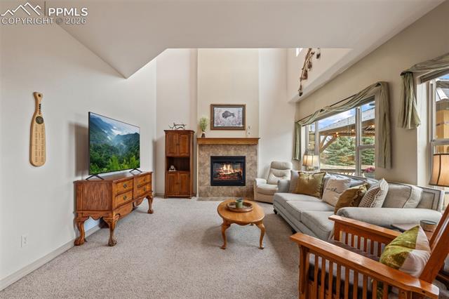 MLS Image for 773  Sally Hill  ,Monument, Colorado