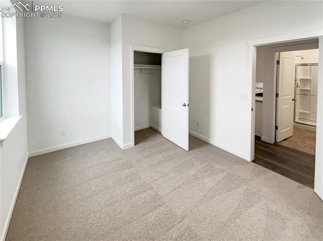 MLS Image for 10128  Castor  ,Colorado Springs, Colorado