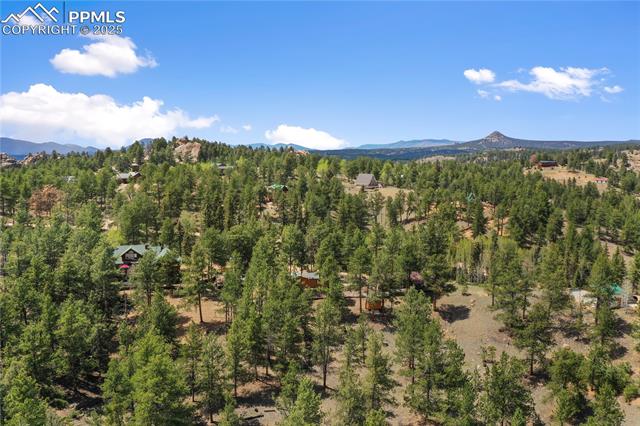 MLS Image for 840  Obsidian  ,Florissant, Colorado