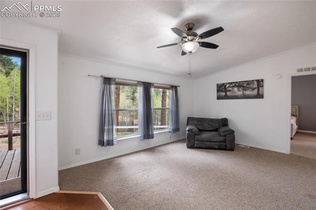 MLS Image for 840  Obsidian  ,Florissant, Colorado