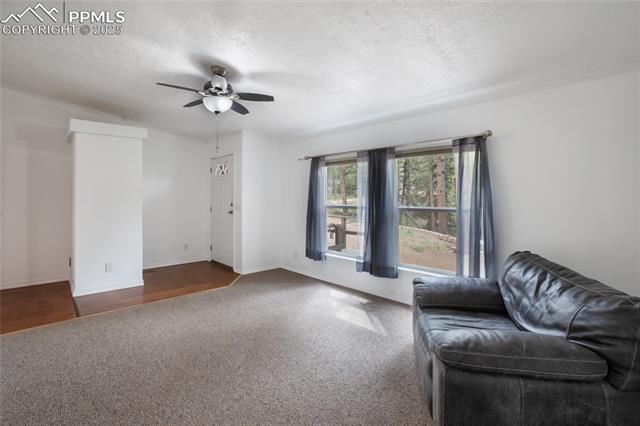 MLS Image for 840  Obsidian  ,Florissant, Colorado