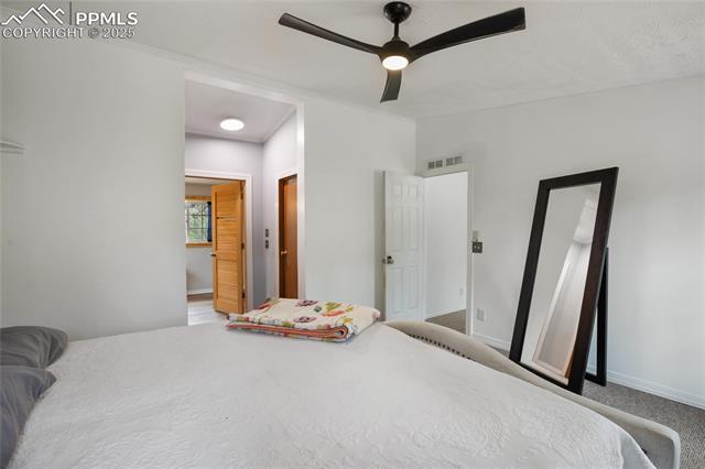 MLS Image for 840  Obsidian  ,Florissant, Colorado