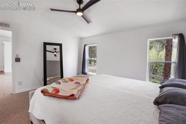 MLS Image for 840  Obsidian  ,Florissant, Colorado
