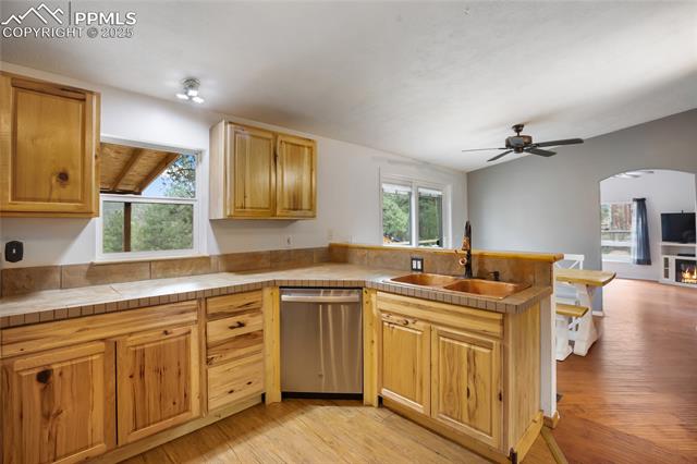 MLS Image for 840  Obsidian  ,Florissant, Colorado