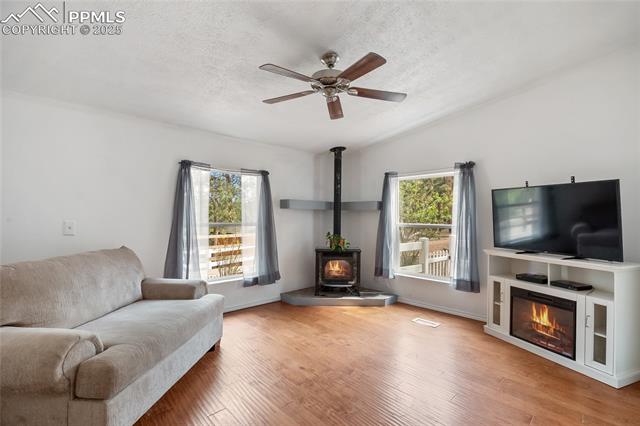 MLS Image for 840  Obsidian  ,Florissant, Colorado