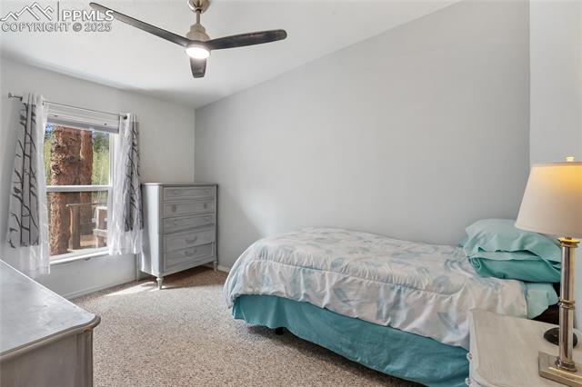 MLS Image for 840  Obsidian  ,Florissant, Colorado