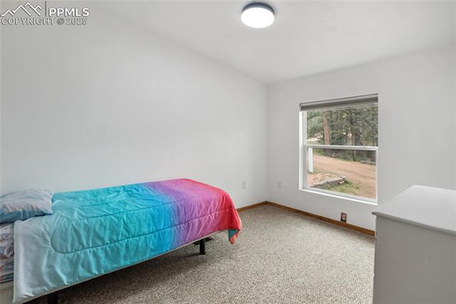 MLS Image for 840  Obsidian  ,Florissant, Colorado