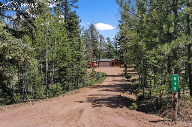 MLS Image for 840  Obsidian  ,Florissant, Colorado