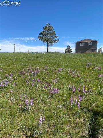 MLS Image for 13435  Hodgen  ,Elbert, Colorado