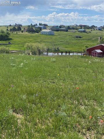 MLS Image for 13435  Hodgen  ,Elbert, Colorado