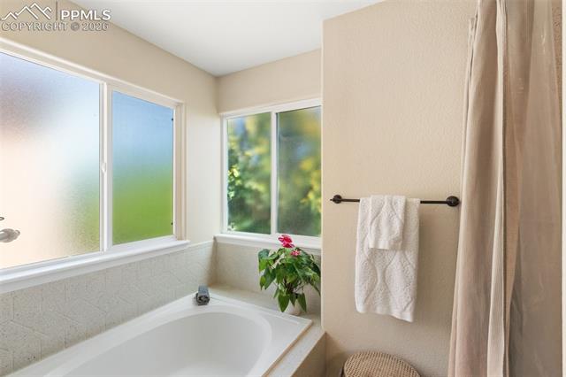 MLS Image for 427  Millstream  ,Colorado Springs, Colorado