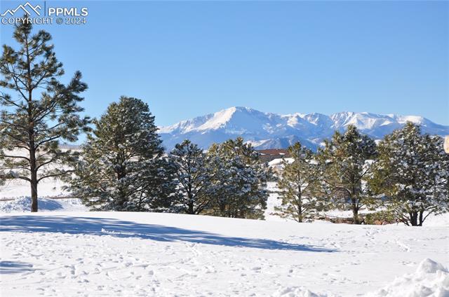 MLS Image for 4694  Settlers Ranch  ,Colorado Springs, Colorado