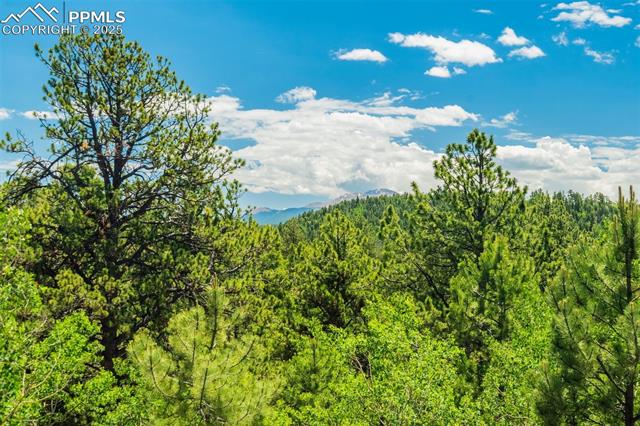 MLS Image for 716  Badger  ,Florissant, Colorado