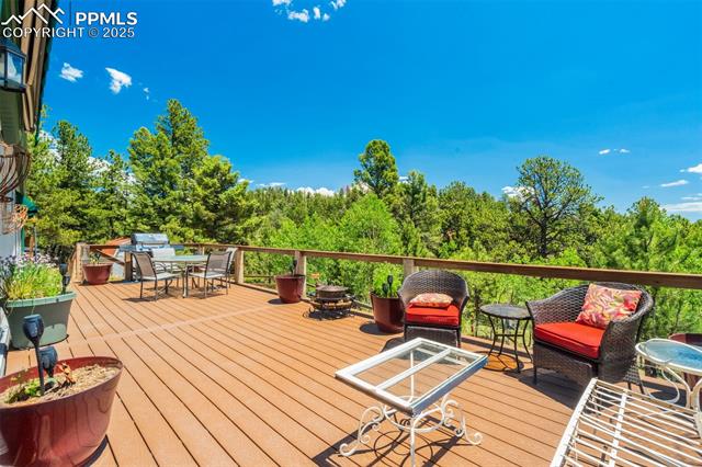 MLS Image for 716  Badger  ,Florissant, Colorado