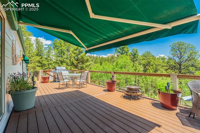 MLS Image for 716  Badger  ,Florissant, Colorado