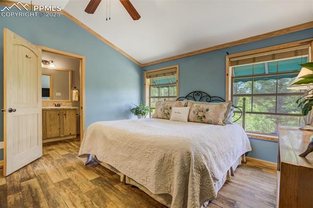 MLS Image for 716  Badger  ,Florissant, Colorado