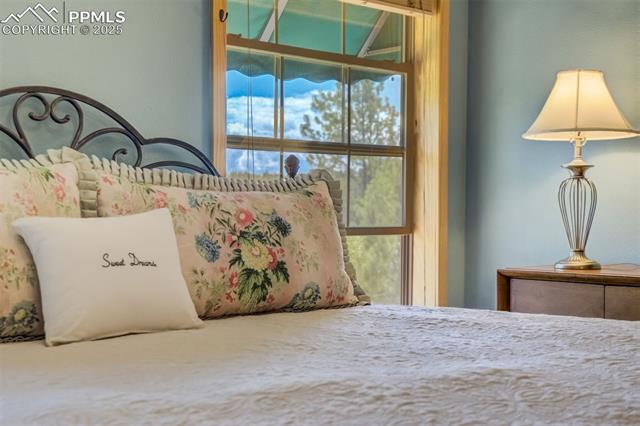 MLS Image for 716  Badger  ,Florissant, Colorado