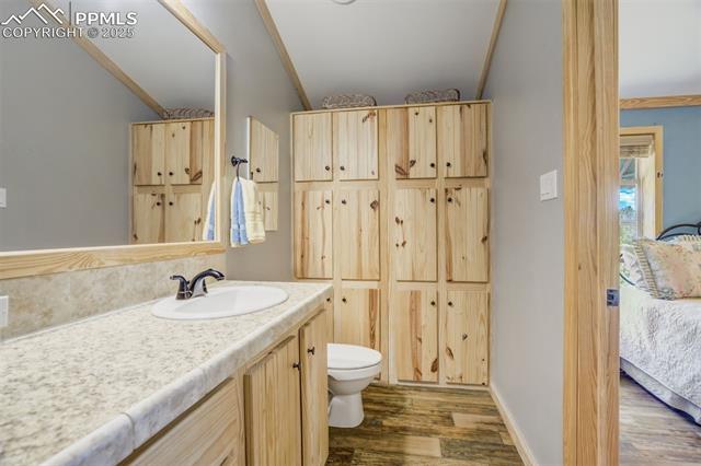 MLS Image for 716  Badger  ,Florissant, Colorado