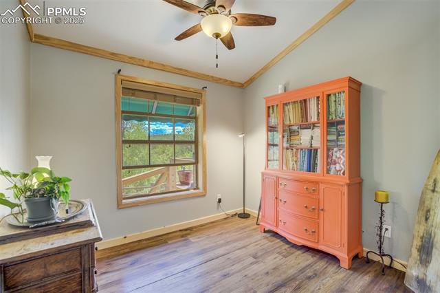 MLS Image for 716  Badger  ,Florissant, Colorado