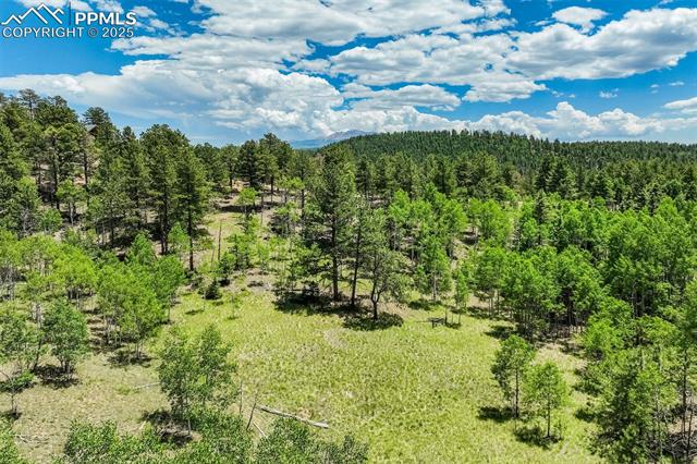 MLS Image for 716  Badger  ,Florissant, Colorado
