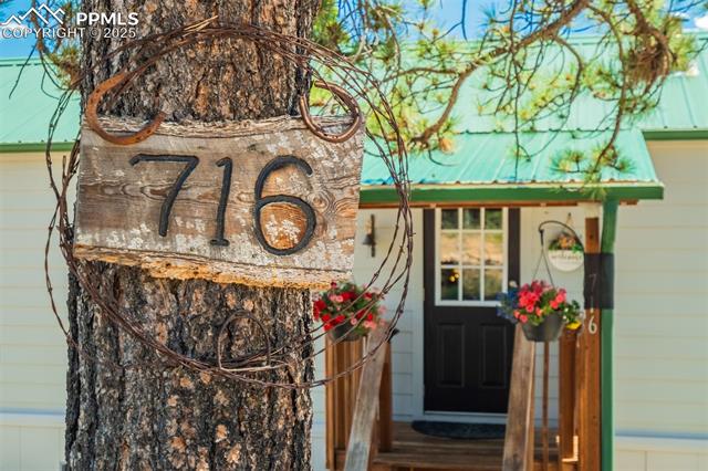 MLS Image for 716  Badger  ,Florissant, Colorado