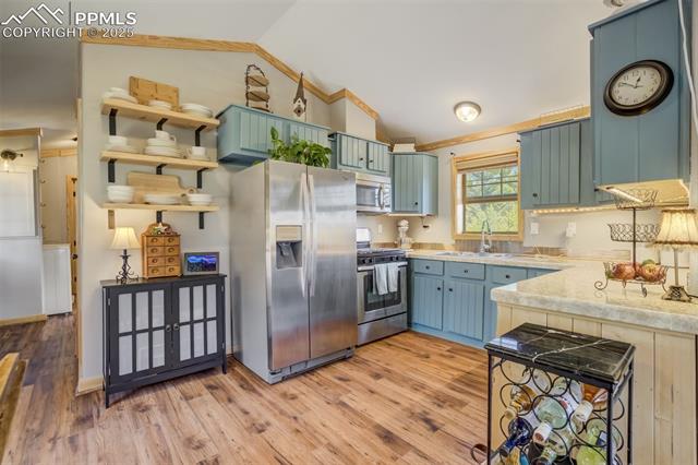 MLS Image for 716  Badger  ,Florissant, Colorado