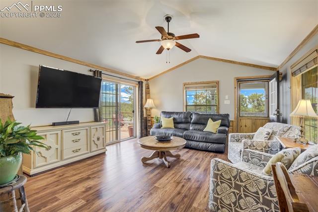 MLS Image for 716  Badger  ,Florissant, Colorado