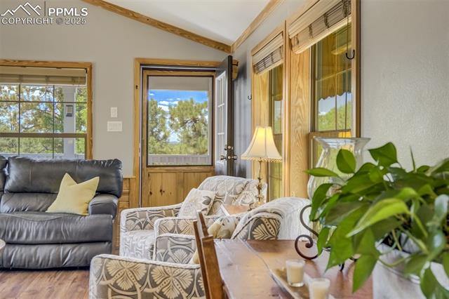 MLS Image for 716  Badger  ,Florissant, Colorado