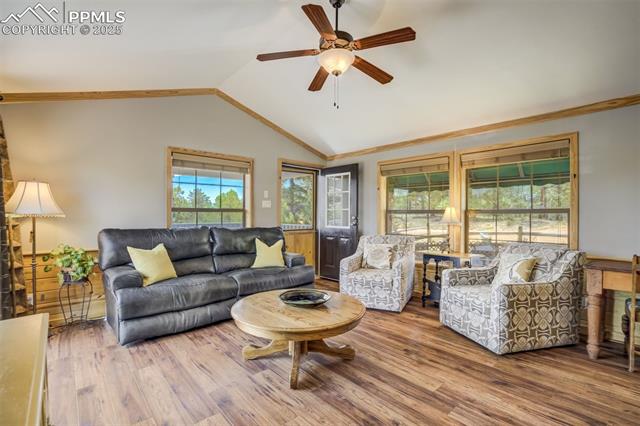 MLS Image for 716  Badger  ,Florissant, Colorado