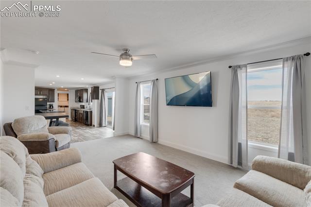 MLS Image for 23656  Redtail  ,Colorado Springs, Colorado