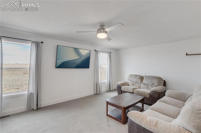 MLS Image for 23656  Redtail  ,Colorado Springs, Colorado