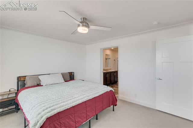 MLS Image for 23656  Redtail  ,Colorado Springs, Colorado