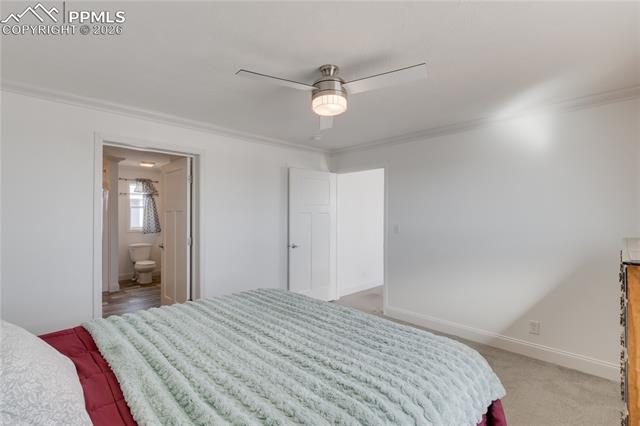 MLS Image for 23656  Redtail  ,Colorado Springs, Colorado