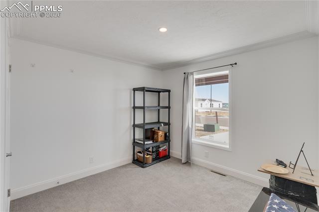 MLS Image for 23656  Redtail  ,Colorado Springs, Colorado