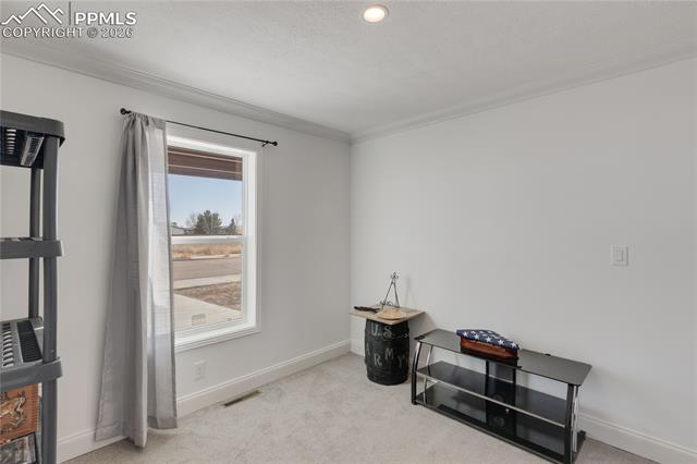 MLS Image for 23656  Redtail  ,Colorado Springs, Colorado