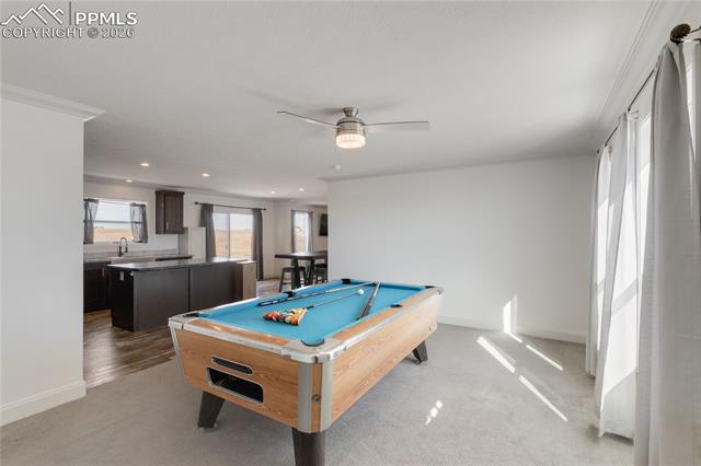 MLS Image for 23656  Redtail  ,Colorado Springs, Colorado