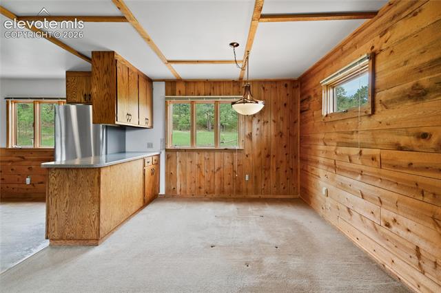 MLS Image for 5254  County Road 11  ,Florissant, Colorado