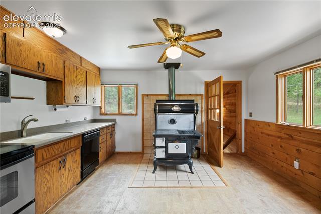 MLS Image for 5254  County Road 11  ,Florissant, Colorado