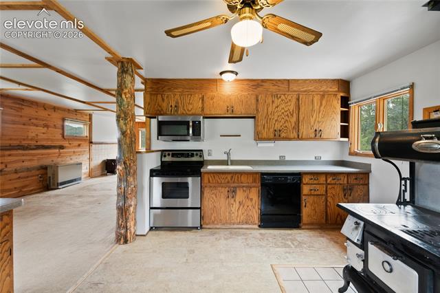 MLS Image for 5254  County Road 11  ,Florissant, Colorado
