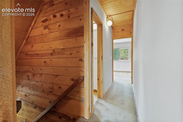 MLS Image for 5254  County Road 11  ,Florissant, Colorado