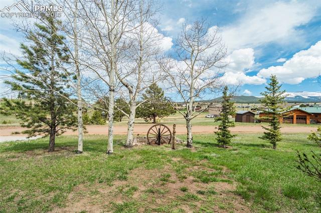 MLS Image for 65  Yeoman  ,Divide, Colorado